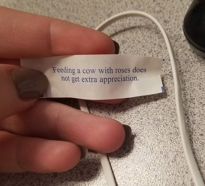 Ընտանեկան կյանքը նույնպես կարող է զվարճալի լինել... Լուսանկարներ, որոնք պատմում եմ ընտանեկան կյանքի բոլոր նրբությունների մասին