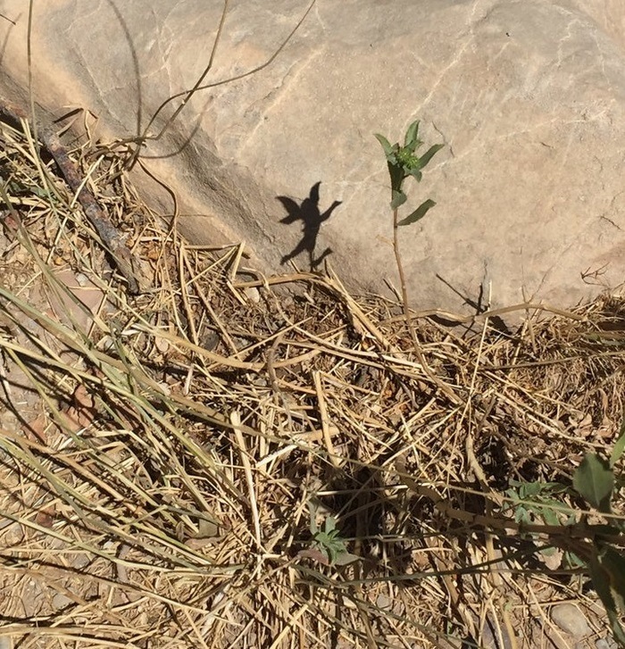 24 խորհրդավոր ու անսովոր ստվերներ, որոնք իրենց նենգությամբ հաստատ ուզում են մեզ խափել։