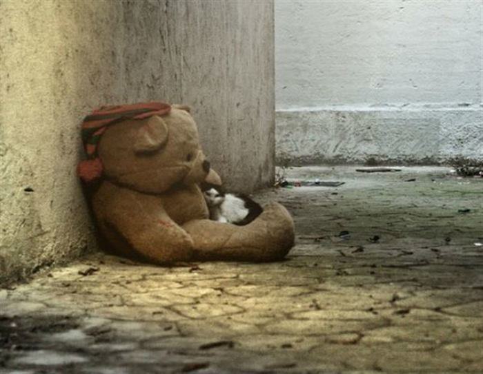 Խորիմաստ լուսանկարներ, որոնք տեսնելուց հետո ապրելու ցանկությունը մեծանում է