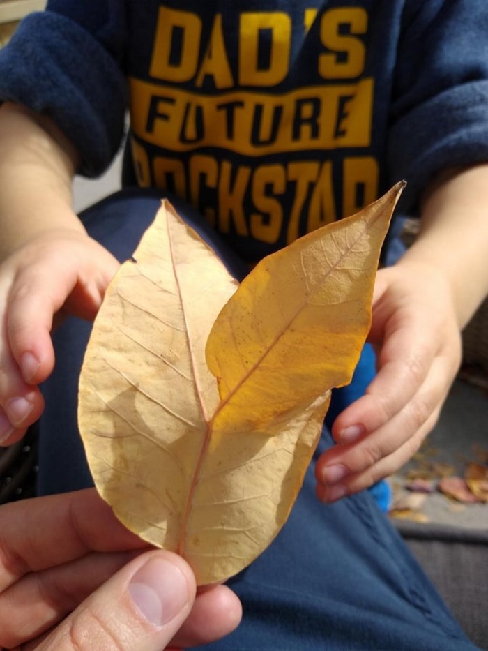 Անսովոր բաներ, որոնցից շատերը դուք առաջին անգամ կտեսնեք։