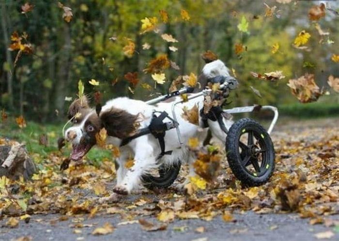 Խորիմաստ լուսանկարներ, որոնք տեսնելուց հետո ապրելու ցանկությունը մեծանում է