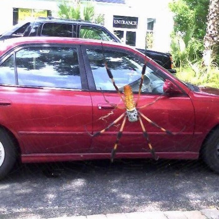 15 խաբուսիկ պատրանքներ, որոնց վրա արժե ուղեղն աշխատեցնել