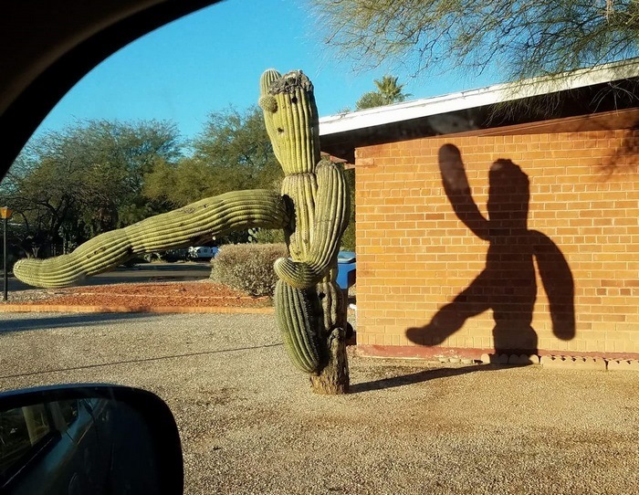 24 խորհրդավոր ու անսովոր ստվերներ, որոնք իրենց նենգությամբ հաստատ ուզում են մեզ խափել։