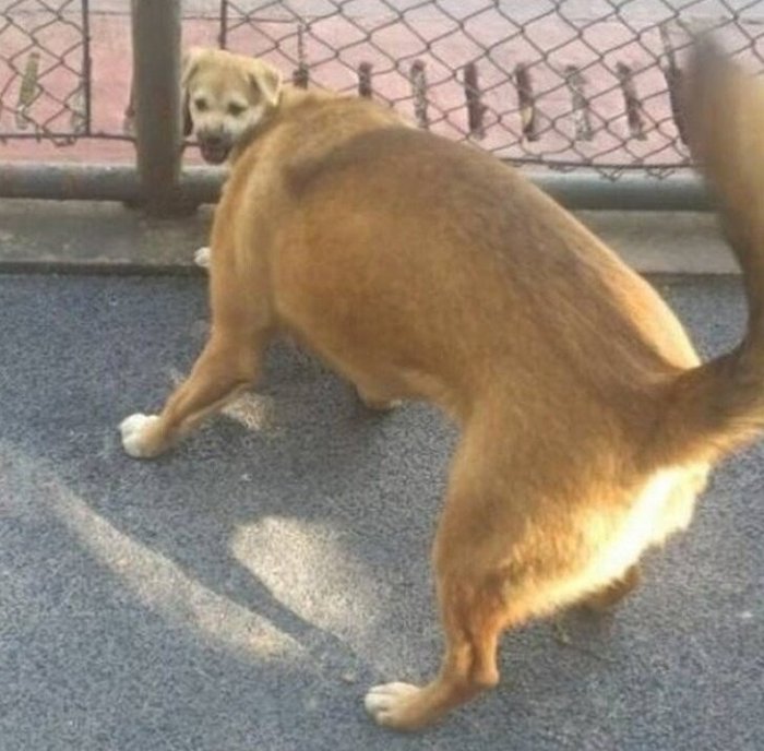 15 խաբուսիկ պատրանքներ, որոնց վրա արժե ուղեղն աշխատեցնել