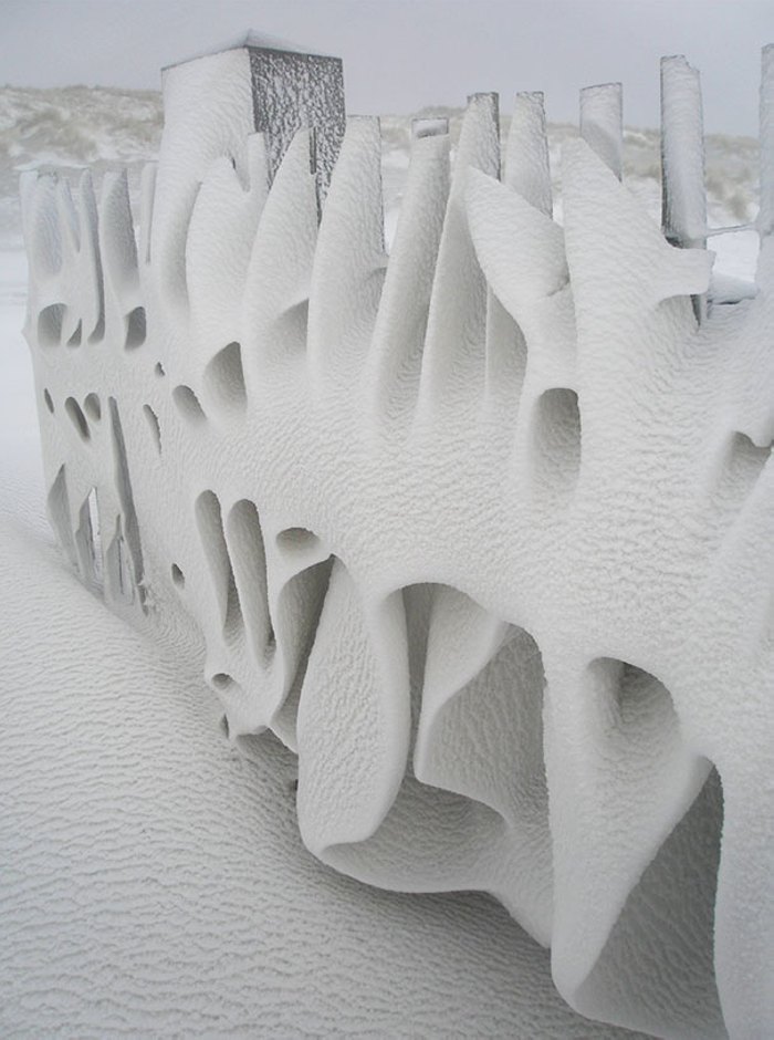 Զարմանալի պատահական նկարներ, որտեղ նկարիչը հենց ինքը` կյանքն է&raquo;