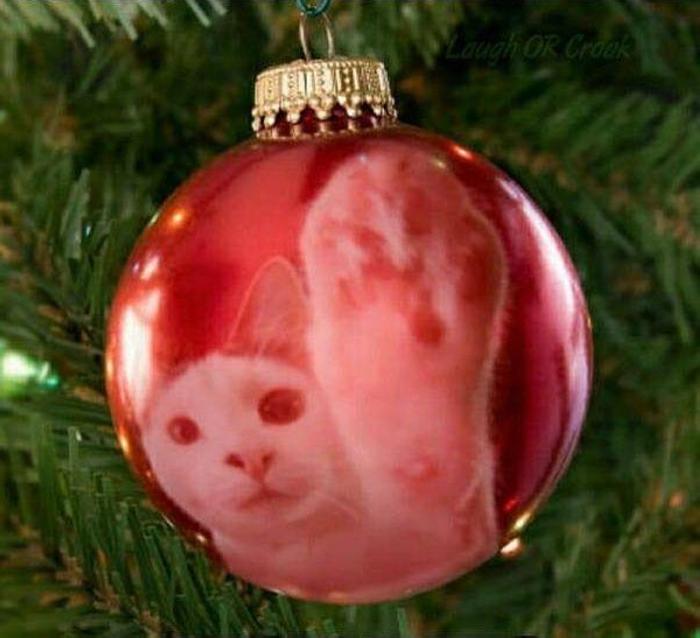 20 զվարճալի լուսանկար ամեն ինչի մասին, որոնք ձեր օրը կդարձնեն մի փոքր ավելի ուրախ