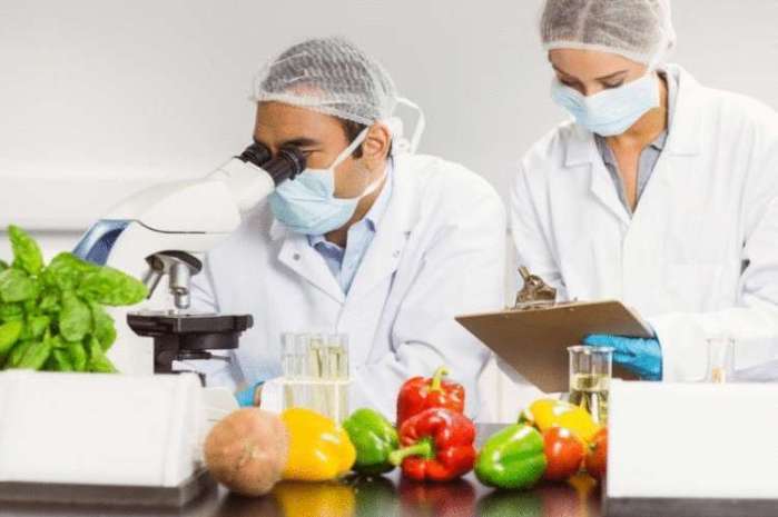 Ապագայի աշխատանքը. 10 մասնագիտություն, որոնք պահանջված կլինեն 2025 թվականին