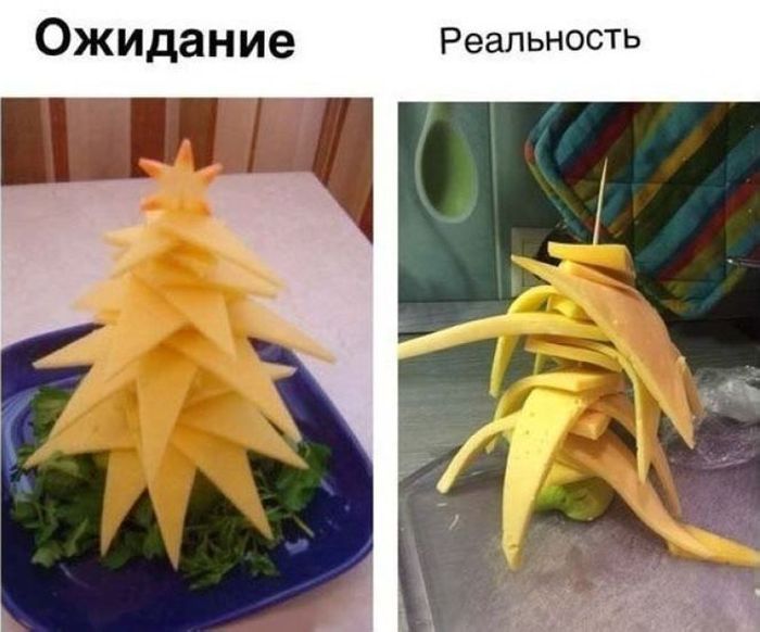 Զվարճալի լուսանկարների հավաքածու