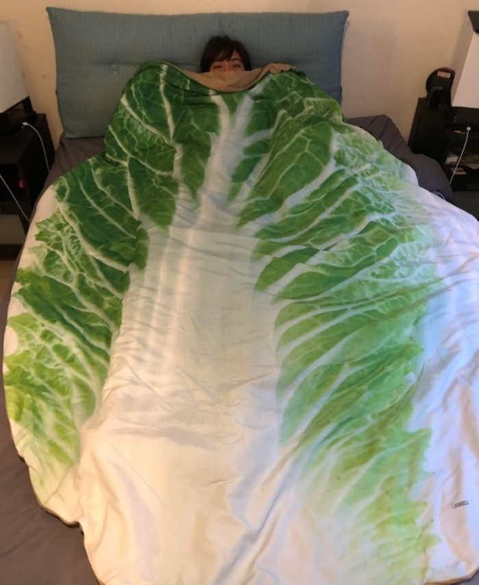 16 ընտանիք, որոնցում երբեք պետք չէ լիցքաթափվել` անախորժություններից խուսափելու համար