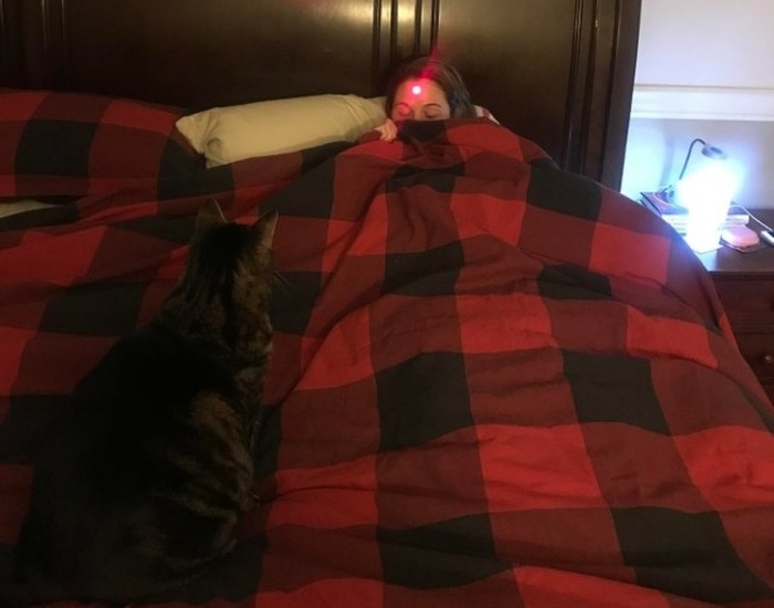 16 ընտանիք, որոնցում երբեք պետք չէ լիցքաթափվել` անախորժություններից խուսափելու համար