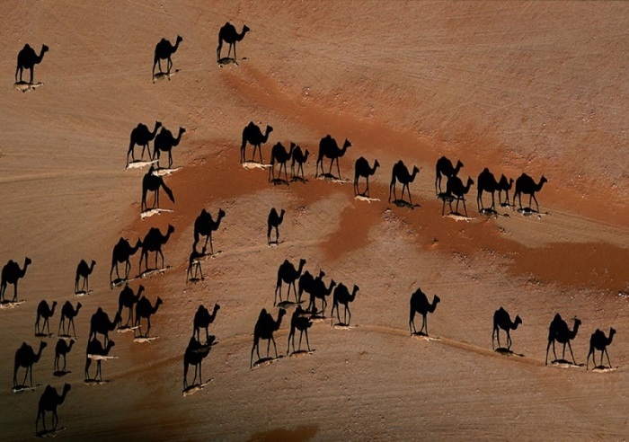 Չի կարող պատահել. Անկրկնելի լուսանկարներ` առանց մի կաթիլ ֆոտոշոփի