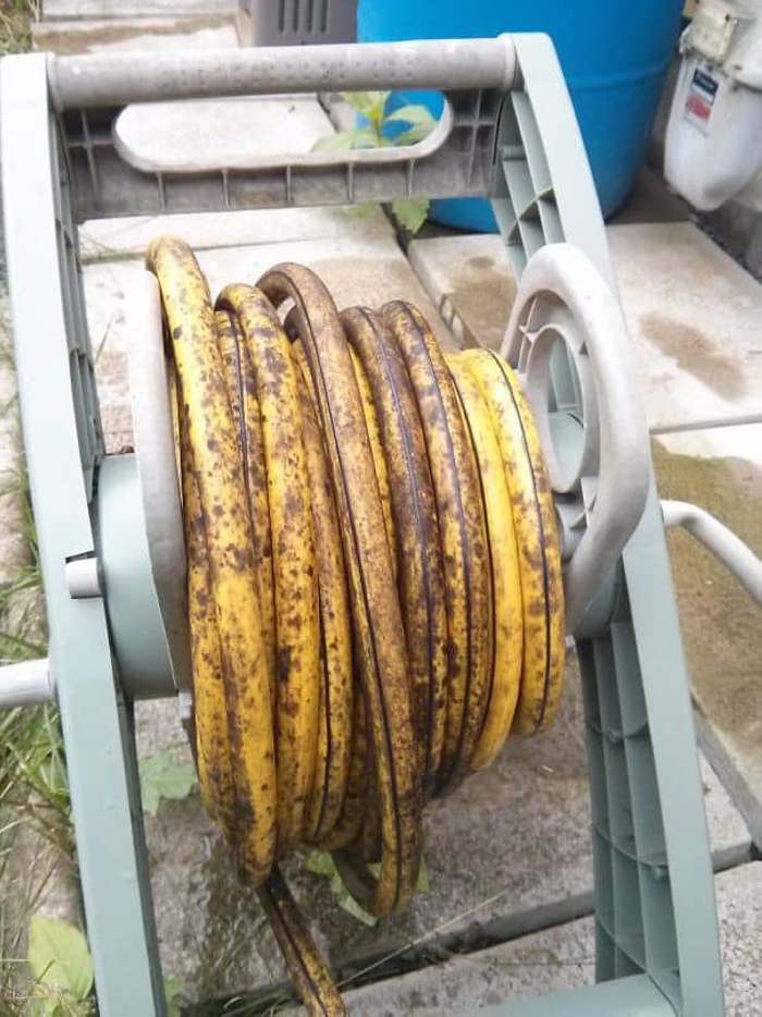 25 զվարճալի դեպքեր, երբ ոչ ուտելի առարկաները ձևացրել են, թե սնունդ են, փորձելով խաբել մեզ: Բայց չի ստացվել
