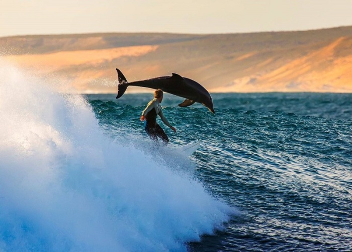 Չի կարող պատահել. Անկրկնելի լուսանկարներ` առանց մի կաթիլ ֆոտոշոփի