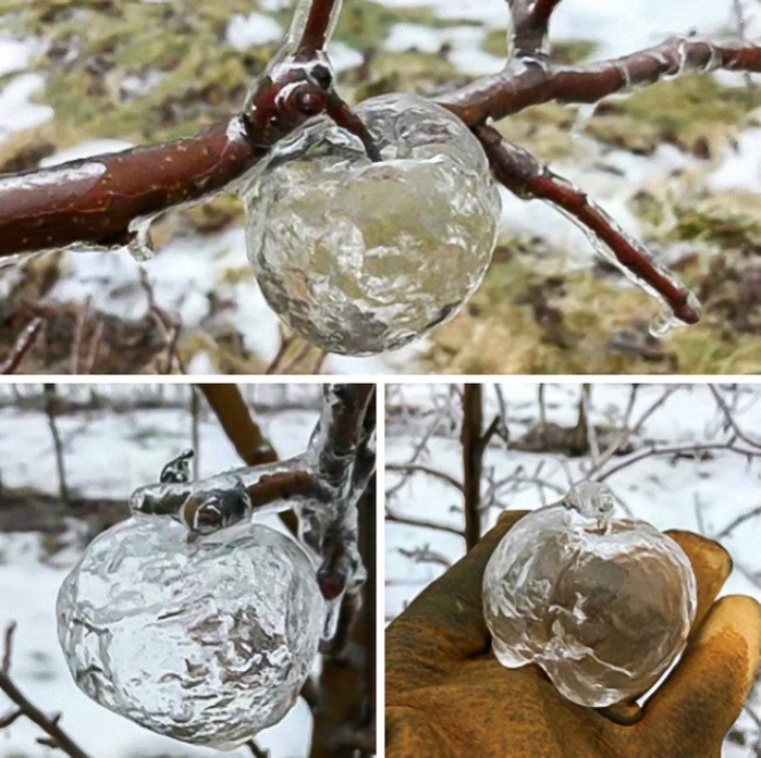 Wow... Լուսանկարներ, որոնց նախկինում չէք հանդիպել։ Բնության երևույթների անսպասելի լուսանկարներ, որոնք ձեզ հիացմունք կպաճառեն