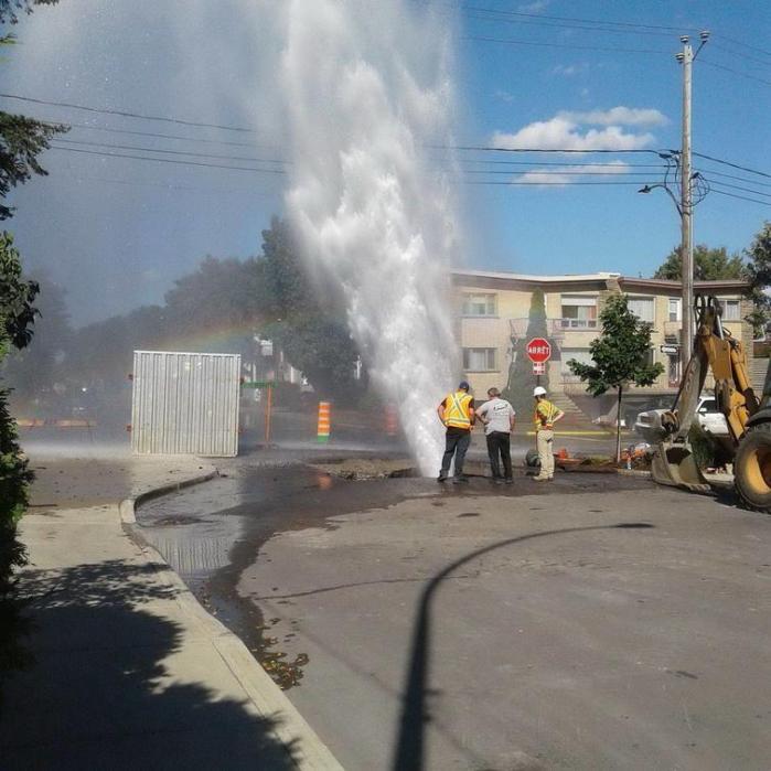 35 ծիծաղելի և հետաքրքիր նկարներ, որոնք կգունավորեն նույնիսկ ամենաանհաջող օրը