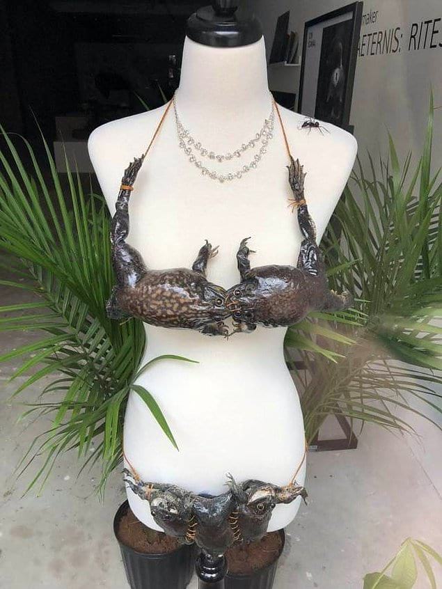 18 լուսանկար, որոնցում տրամաբանությունը անմեղսունակության հետ ճակատամարտում պարտվեց