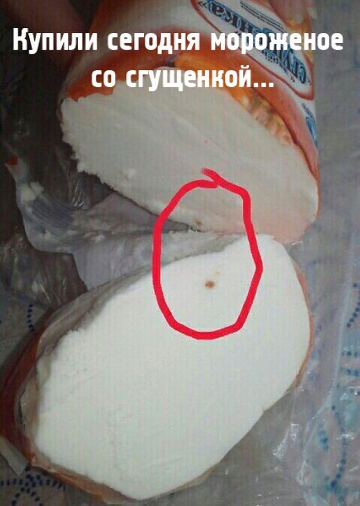 Զվարճալի լուսանկարների հավաքածու