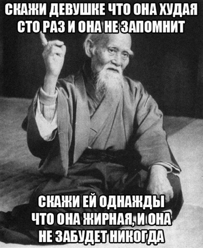 Զվարճալի լուսանկարների հավաքածու