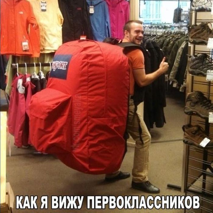 Զվարճալի լուսանկարների հավաքածու