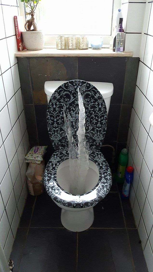 18 լուսանկար, որոնցում տրամաբանությունը անմեղսունակության հետ ճակատամարտում պարտվեց