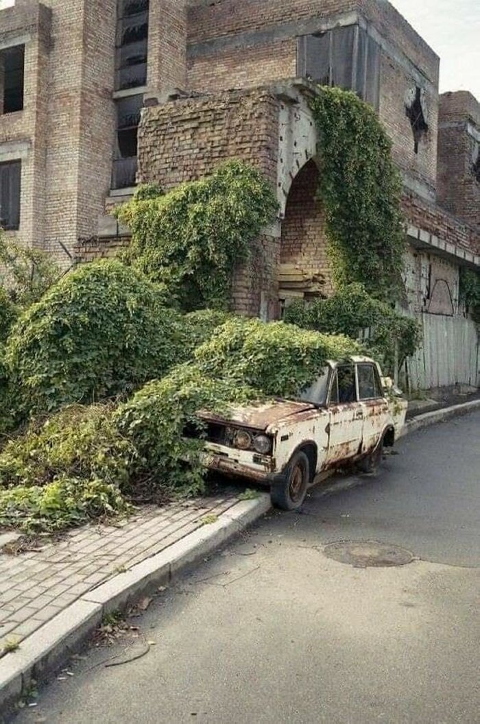 16 կադր, որոնք ապացուցում են, որ բնությունը միշտ վերցնում է իրենը