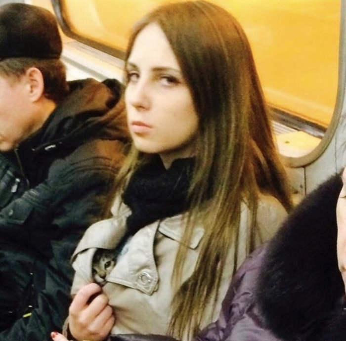 Լուսանկարներ, որոնք հաճելի զգացմունք են առաջացնում նույնիսկ կոպիտ վատատեսների մոտ