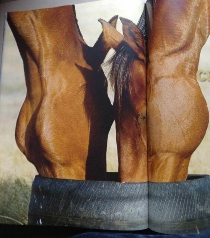 15 օպտիկական պատրանքներ, որից ձեր երեսը կկարմրի