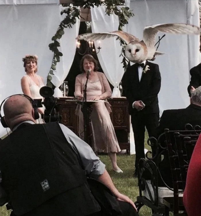 Նկարներ, որոնցում անկյունը որոշել է ամեն ինչ. Այ քեզ հաջողություն