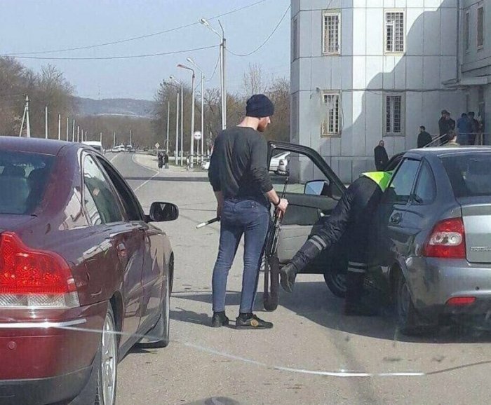 Այ, թե հիմարն են։ Անսահման հիմարության 14 օրինակ