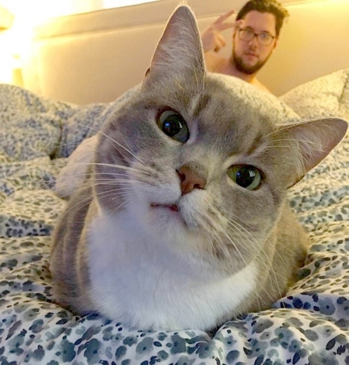 Լուսանկարներ, որոնք հաճելի զգացմունք են առաջացնում նույնիսկ կոպիտ վատատեսների մոտ