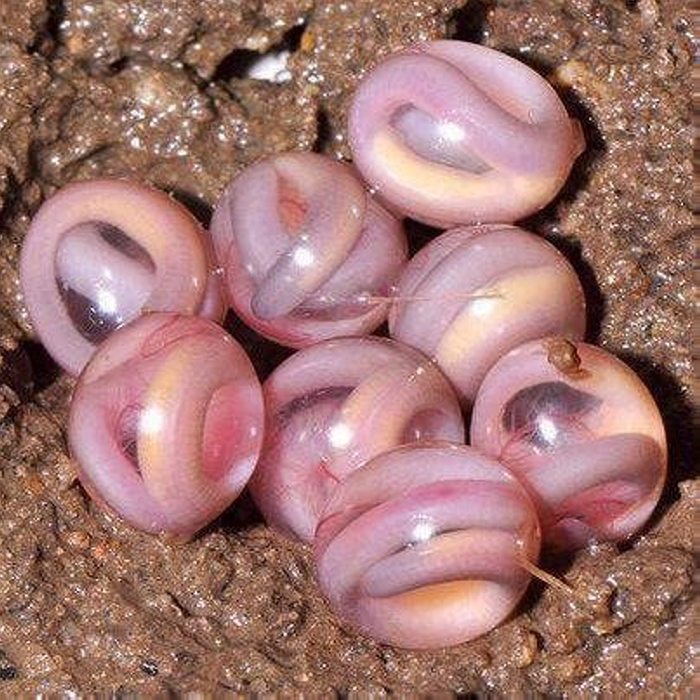 12 լուսանկար, որտեղ կարծես թե ոչինչ տեղի չի ունենում, իսկ ձեռքերդ արդեն քրտնել են, և սիրտդ արագ բաբախում է