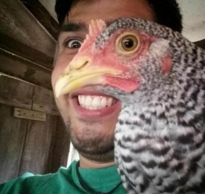 Նկարներ, որոնցում անկյունը որոշել է ամեն ինչ. Այ քեզ հաջողություն