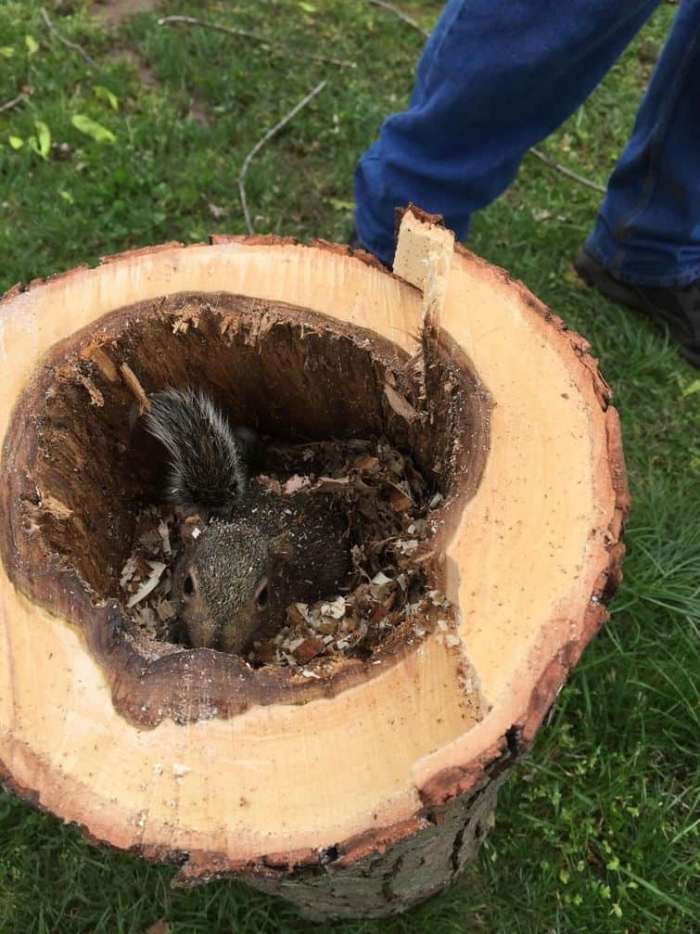 Ապշեցնող հաջողության 20 լուսանկար, որոնց նայելով դուք կբացականչեք &laquo;Չ՛ի կարող պատահել&raquo;