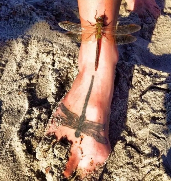 Նկարներ, որոնցում անկյունը որոշել է ամեն ինչ. Այ քեզ հաջողություն