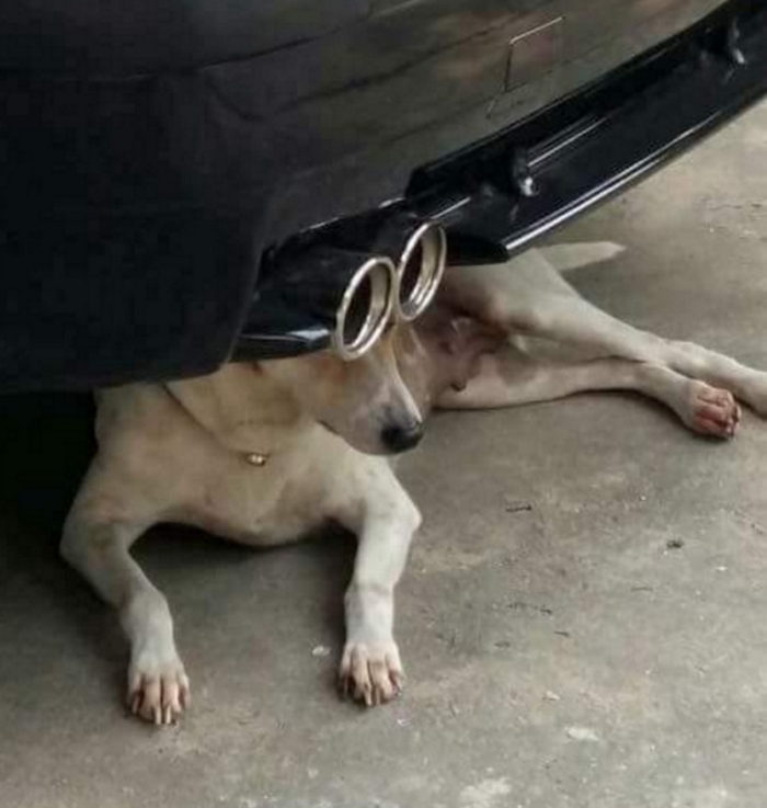 Նկարներ, որոնցում անկյունը որոշել է ամեն ինչ. Այ քեզ հաջողություն