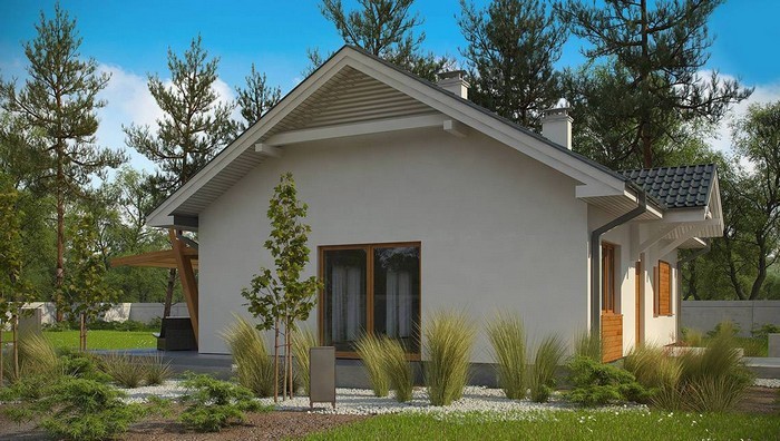 Մեկ հարկանի տների գեղեցիկ ֆասադներ. 51 գաղափարների լուսանկարներ