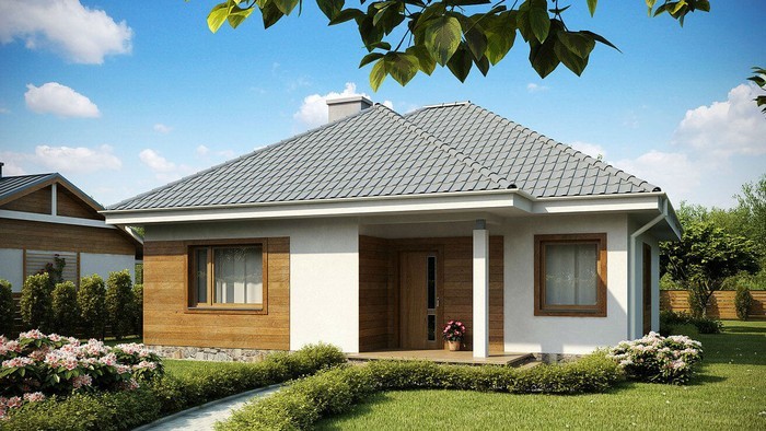 Մեկ հարկանի տների գեղեցիկ ֆասադներ. 51 գաղափարների լուսանկարներ