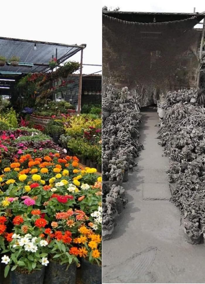 15 անհաջողակներ, որոնց վրա պարզապես ուզում ես ծիծաղել, չնայած մի փոքր ամաչում ես