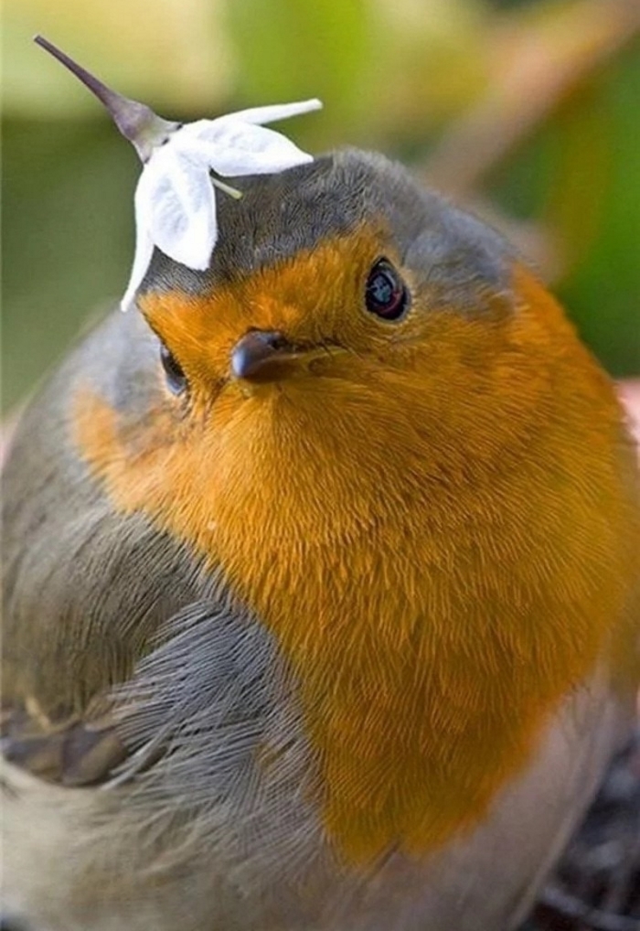 Նկարներ, որոնցում անկյունը որոշել է ամեն ինչ. Այ քեզ հաջողություն