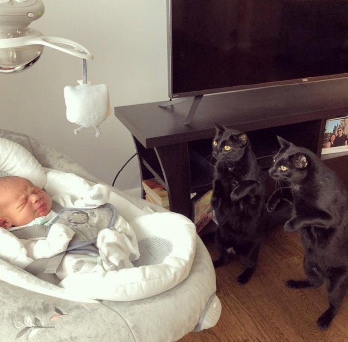 Լուսանկարներ, որոնք հաճելի զգացմունք են առաջացնում նույնիսկ կոպիտ վատատեսների մոտ