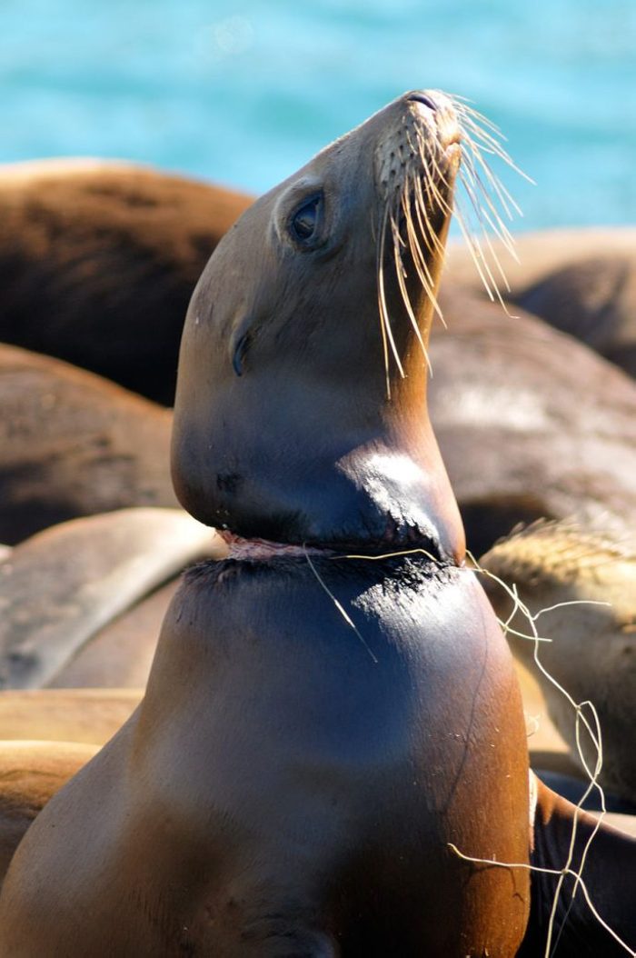 22 սրտաճմլիկ լուսանկար, որոնք ստիպում են մարդկության ապագայի մասին մտածել