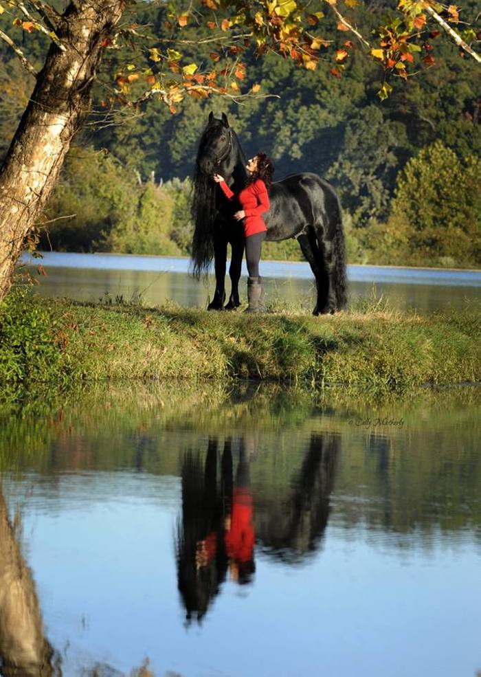 Ինքնին Մեծություն։ Ֆրեդերիկ Մեծը մոլորակի ամենագեղեցիկ ձին է