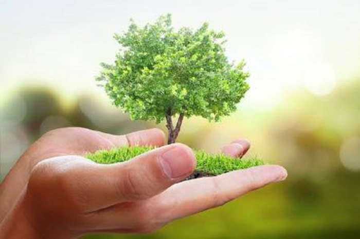 15 Աստվածային հուշումներ մարդուն` դրական տրամադրության համար