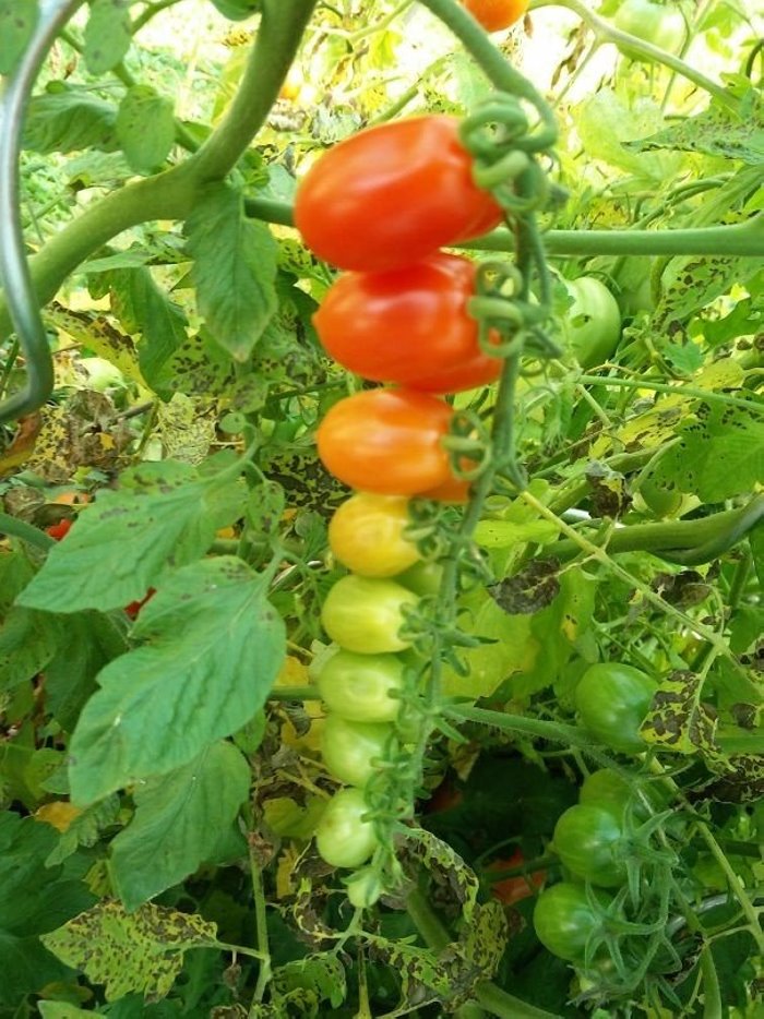 13 կադրեր, որոնք կարող են բավարարել ցանկացած պերֆեկցիոնիստի