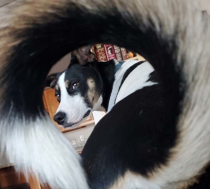 18 օրինակներ, թե ինչու լուսանկարելիս չպետք է թերագնահատել անկյունն ու հեռանկարը