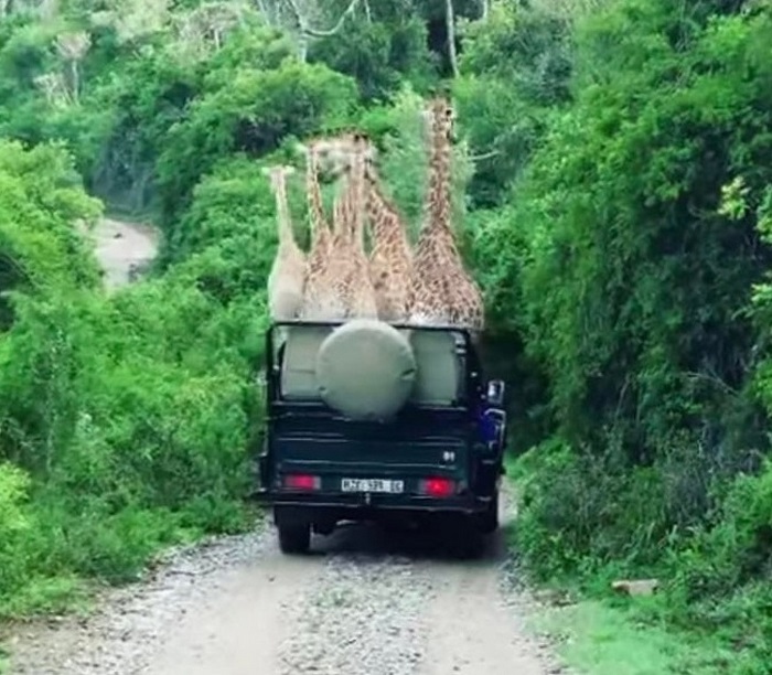 18 օրինակներ, թե ինչու լուսանկարելիս չպետք է թերագնահատել անկյունն ու հեռանկարը