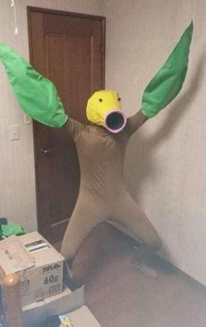 11 զվարճալի լուսանկարներ, որտեղ առաջին հայացքից չես հասկանում, թե ինչ է կատարվում