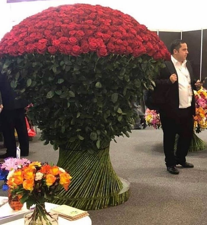 15 հսկայական իրեր, որոնց մեծությունը պարզապես ապշեցնում է
