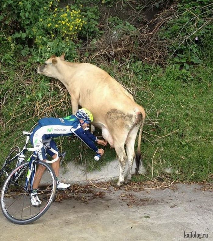 11 զվարճալի լուսանկարներ, որտեղ առաջին հայացքից չես հասկանում, թե ինչ է կատարվում