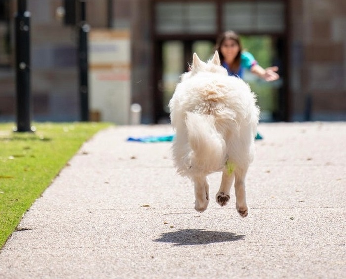 18 օրինակներ, թե ինչու լուսանկարելիս չպետք է թերագնահատել անկյունն ու հեռանկարը